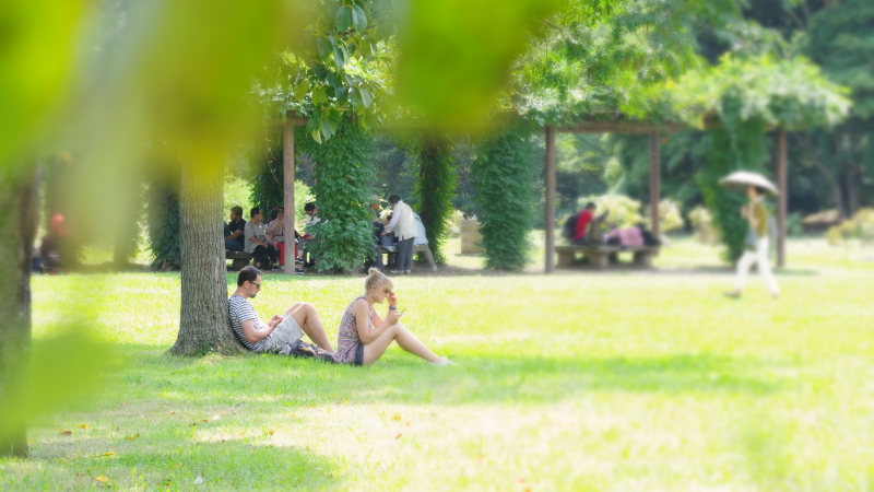 PENTAX KP / smc PENTAX-DA 50-200mmF4-5.6ED WR / 絞り優先（1/160秒・F7.1・+2.0EV） / ISO 400 / 80mm（120mm相当） / 16:9