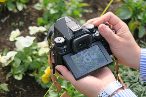 特別企画：フィルムカメラ感覚のスナップ一眼レフ PENTAX KPの魅力