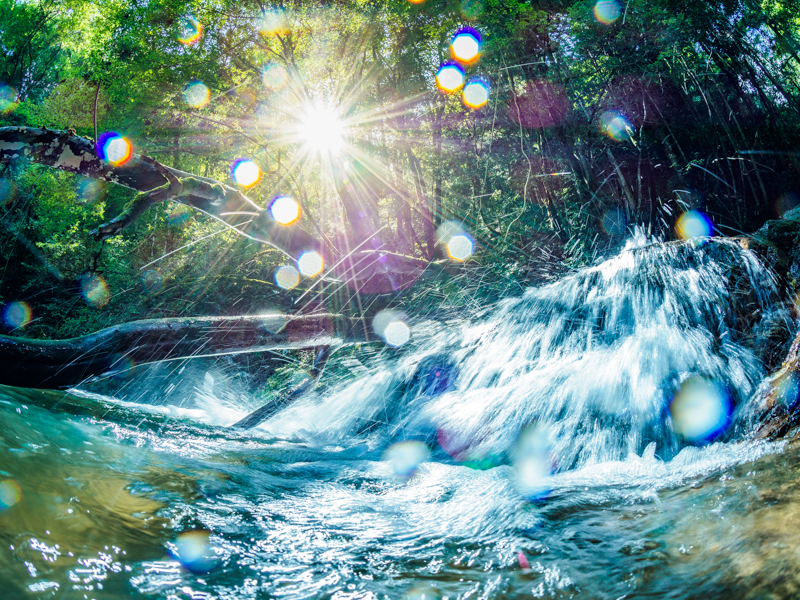 雨で水流の増した川をローアングルから撮影。飛沫を浴びながらの撮影だったがPROレンズの防滴性能のおかげで水滴の付着を気にすることなく撮影することができた。<br><span class="fnt-85">OLYMPUS OM-D E-M1 Mark II / M.ZUIKO DIGITAL ED 8mm F1.8 Fisheye PRO / 8mm（16mm相当） / マニュアル露出（F8、1/25秒） / ISO 200</span>
