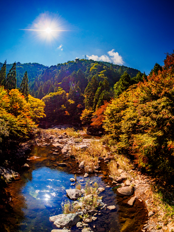 水平垂直を出してゆがみのない仕上がりに。太陽を直接画面に入れても派手なハレーションもなくクリアな結果を得られた。<br><span class="fnt-85">OLYMPUS OM-D E-M1 Mark II / M.ZUIKO DIGITAL ED 8mm F1.8 Fisheye PRO / 8mmmm（16mm相当） / マニュアル露出（F5.6、1/4,000秒） / ISO 200</span>