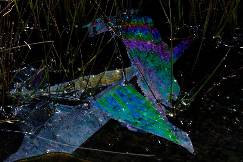 『水辺に潜む』　撮影：小松ひとみ<br>　<span class="fnt-85">X-T2 / XF50-140mmF2.8 R LM OIS WR / 絞り優先（1/40秒・F14・-1.7EV） / ISO 400 / 392mm / Velvia</span>