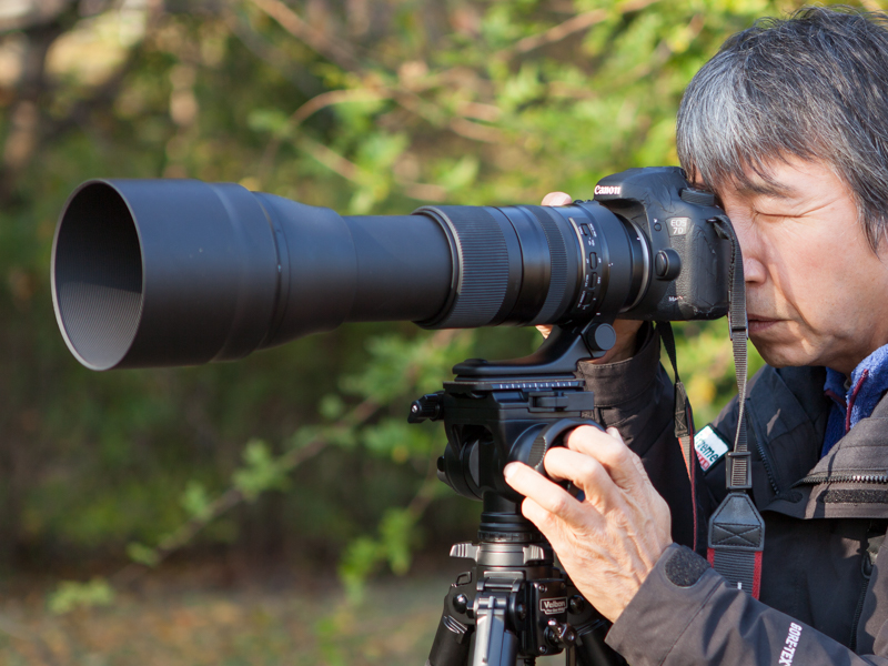 SP 150-600mm F/5-6.3 Di VC USD G2とEOS 7D Mark IIでの使用例。