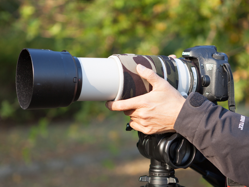 EF100-400mm F4.5-5.6L IS II USMとEOS 7D Mark IIでの使用例。