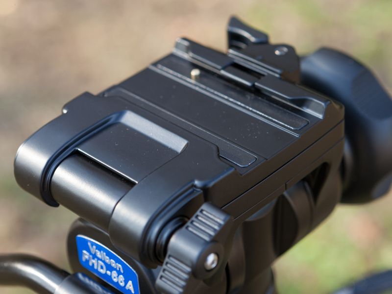 付属のシュープレートを外したところ。プレートの脱落防止機構も備わっている。