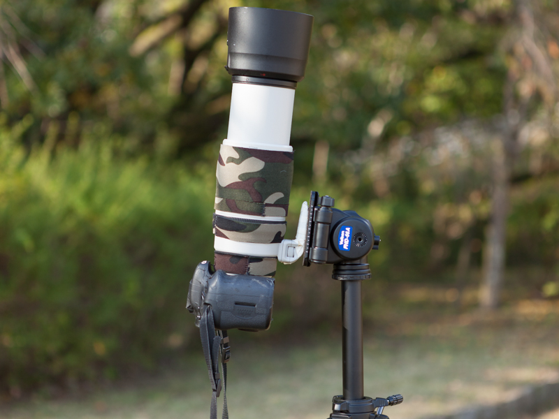 野鳥撮影では、パン棒を外しておけばとっさに真上を向けることもできる。