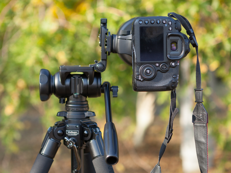 このように縦位置にも対応する。