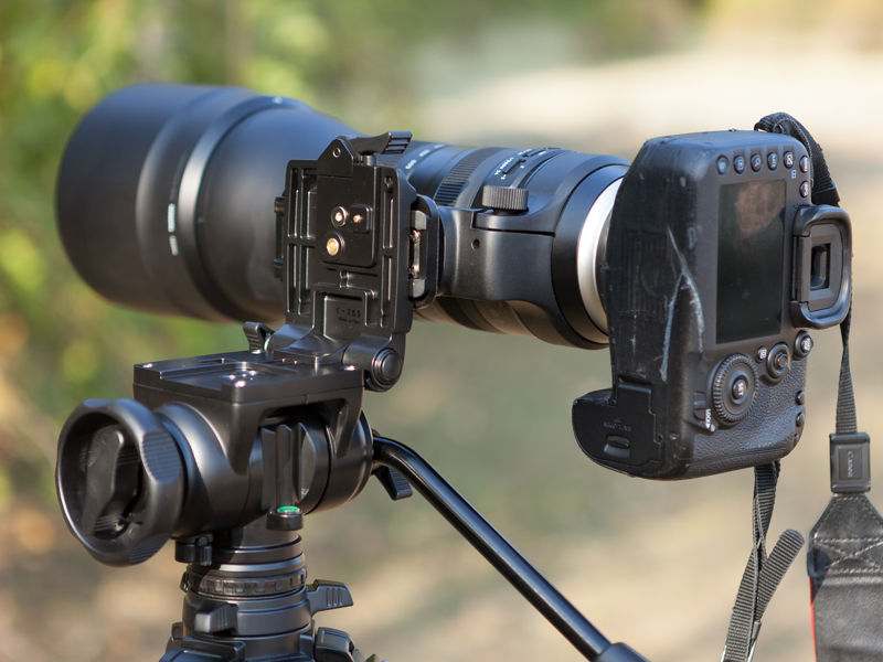 マグネシウム製の本体はしっかりした作りのため、安定して縦位置にすることができる。