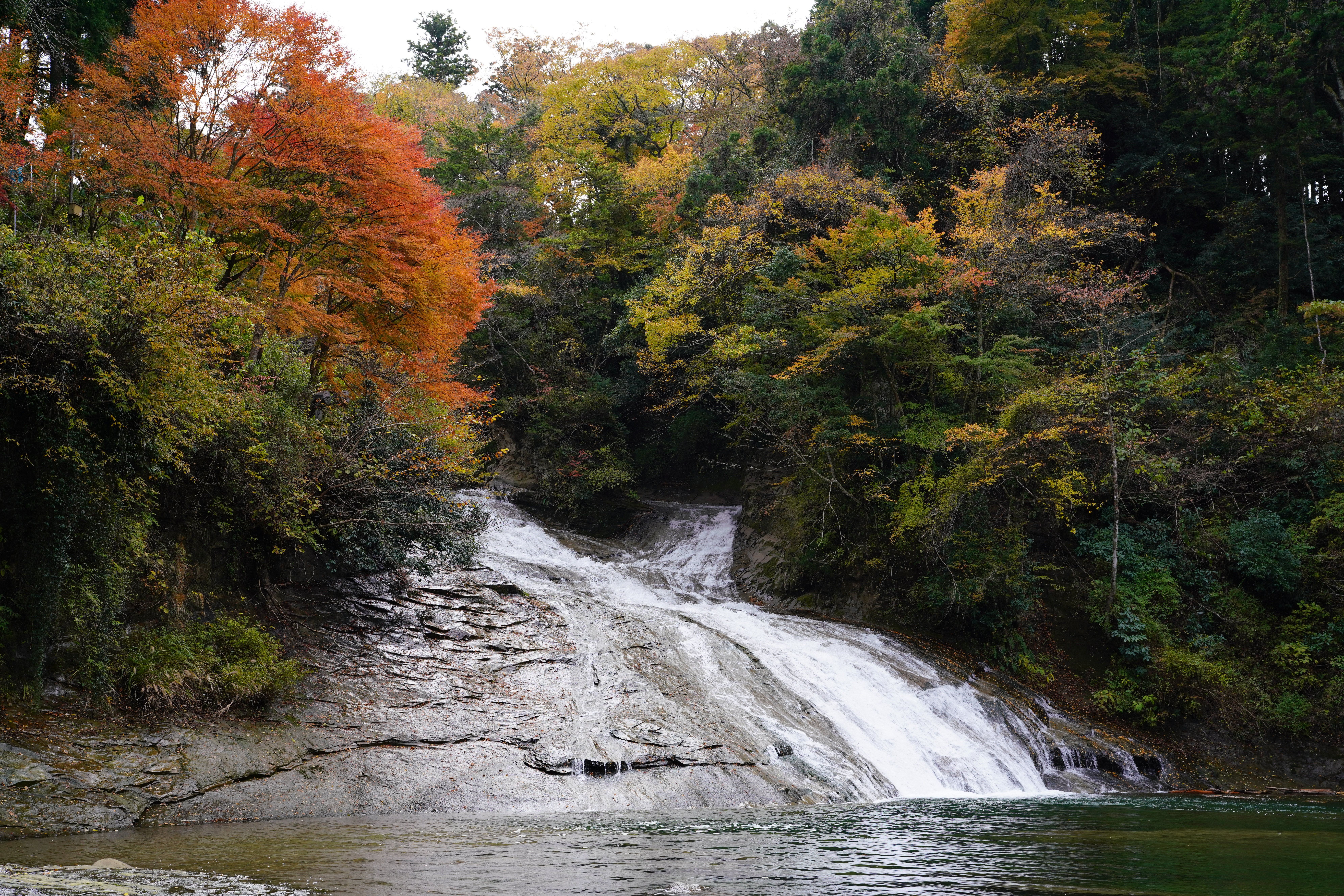 α7R III / FE 24-70mm F2.8 GM / 1/250秒 / F5.6 / -0.7EV / ISO 400 / 絞り優先AE / 46mm