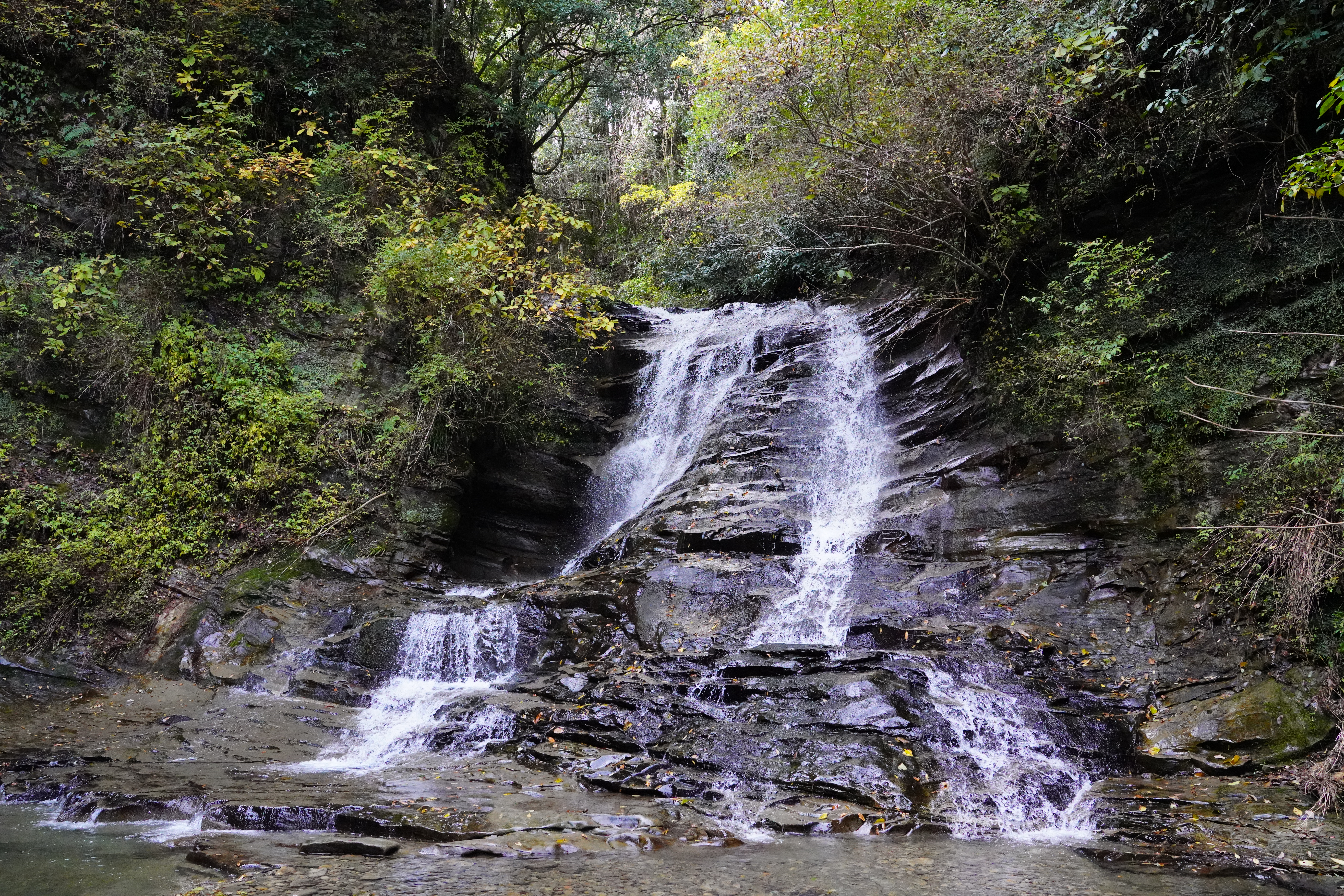 α7R III / FE 24-70mm F2.8 GM / 1/1,250秒 / F5.6 / 0.0EV / ISO 12800 / 絞り優先AE / 24mm