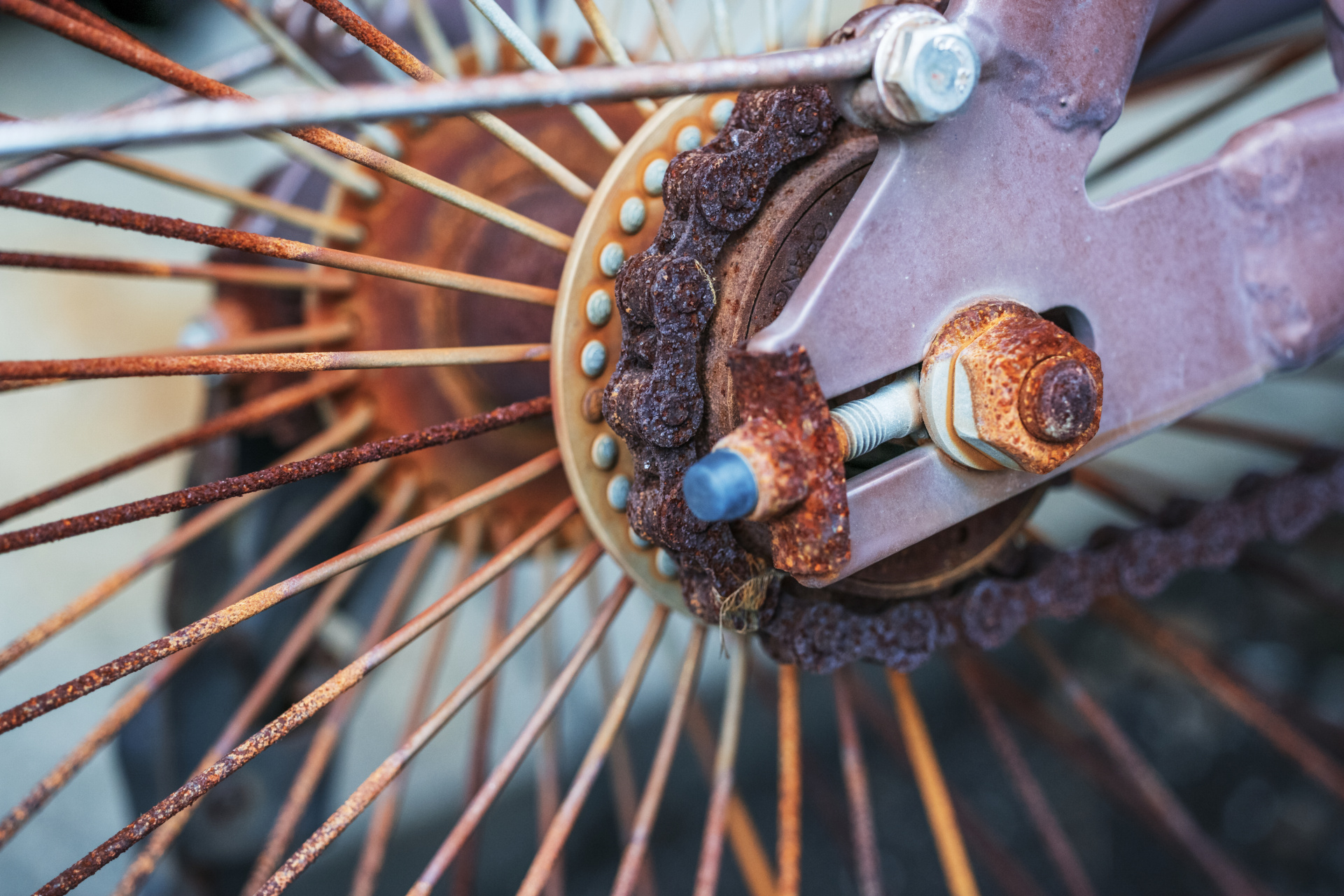 やや寄り気味で撮影。錆び部分の微妙な凹凸がひときわ克明に再現された。ライカTL2 / ISO800 / F4 / 1/160秒 / WB:オート