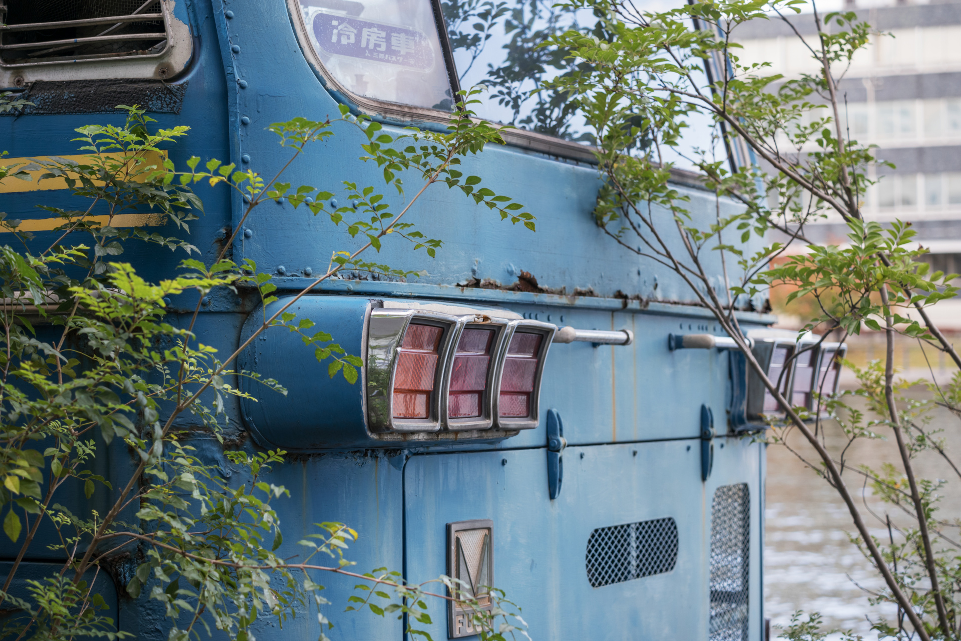 フルサイズ換算90mm相当の中望遠画角は画面構成しやすい。ライカTL2 / ISO320 / F4 / 1/160秒 / WB:オート