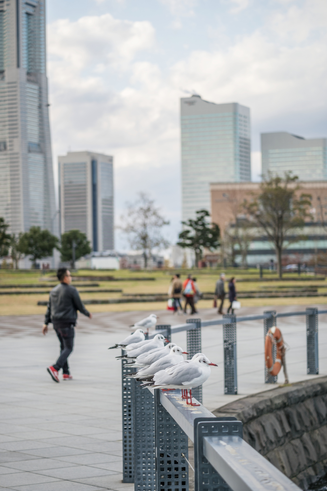 中距離撮影時のボケ味も非常に素直だ。合焦部は線が細く、力強さよりも繊細さを感じる描写。ライカTL2 / ISO100 / F2.8 / 1/640秒 / WB:オート