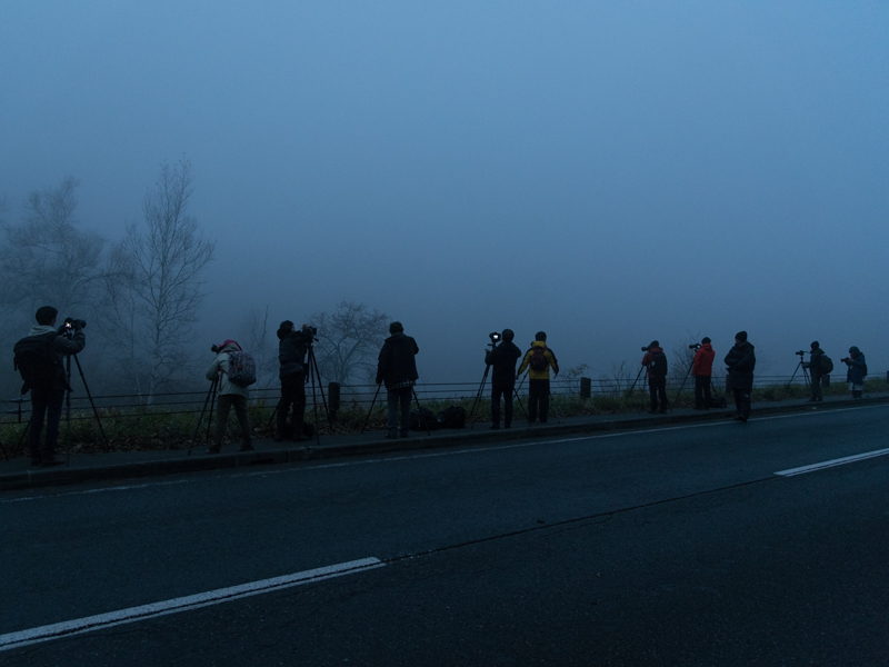 一沼に到着。このあと霧が少しずつ晴れてきた。