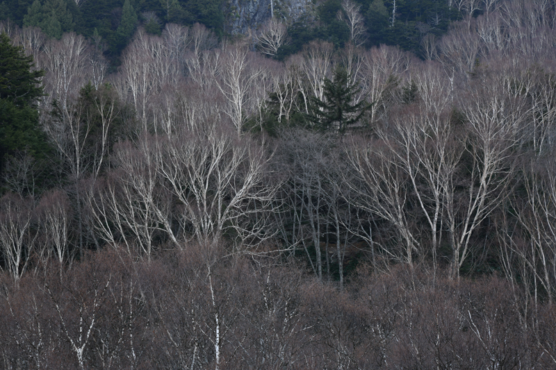 D850 / AF-S NIKKOR 24-120mm f/4G ED VR / 1/1.7秒 / F16 / -1EV / ISO 64 / 絞り優先AE / 120mm / ホワイトバランス：自然光オート