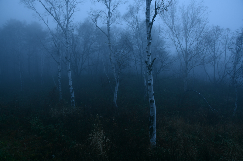 ホワイトバランス：自然光オート。D850 / AF-S NIKKOR 24-120mm f/4G ED VR / 1.6秒 / F11 / -1EV / ISO 64 / 絞り優先AE / 24mm