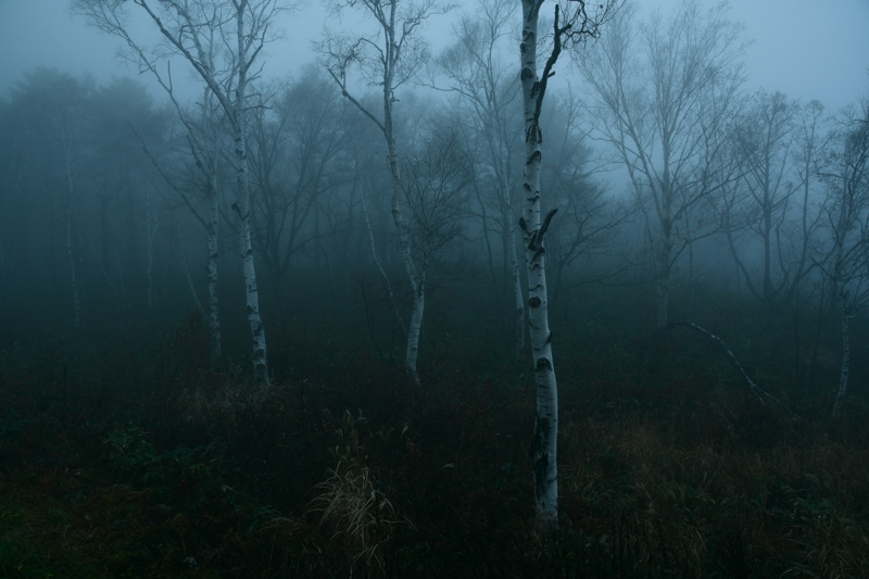 ホワイトバランス：オート。D850 / AF-S NIKKOR 24-120mm f/4G ED VR / 1.6秒 / F11 / -1EV / ISO 64 / 絞り優先AE / 24mm