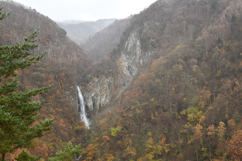 D850 / AF-S NIKKOR 24-120mm f/4G ED VR / 1/6秒 / F16 / 0EV / ISO 64 / 絞り優先AE / 44mm / ホワイトバランス：自然光オート