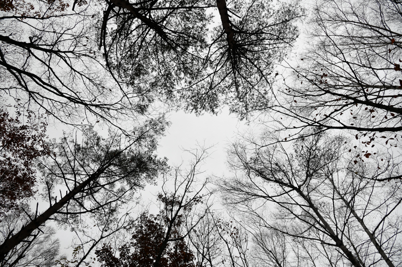 D850 / AF-S NIKKOR 24-120mm f/4G ED VR / 1/200秒 / F8 / +1EV / ISO 64 / 絞り優先AE / 24mm / ホワイトバランス：自然光オート