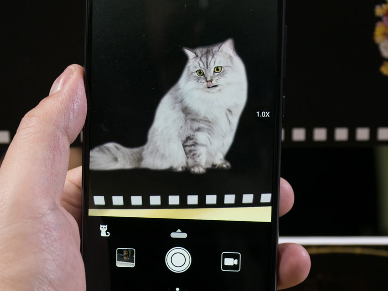 自動的に被写体を認識して、適した設定を行なう。PROモードでは利用できない。