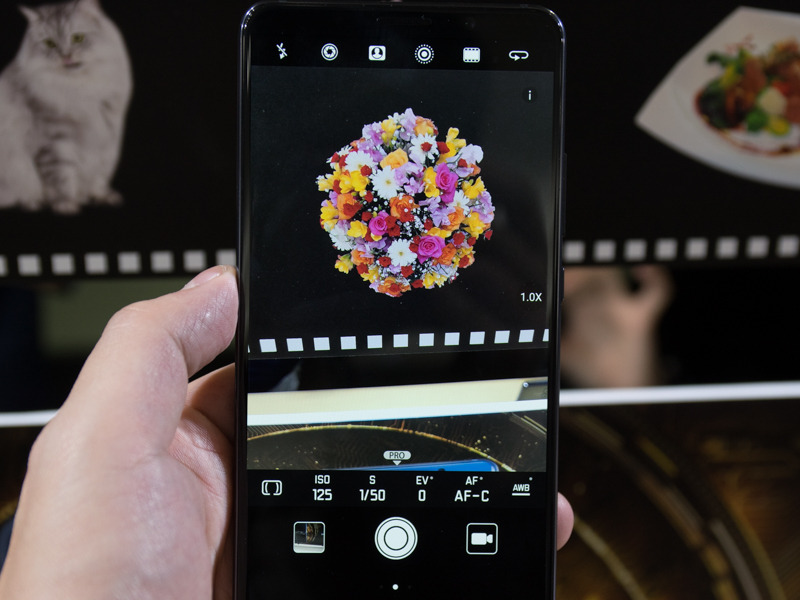 被写体認識機能は、PROモードでは利用できない。