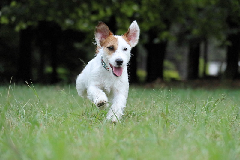 撮影：中村陽子（EOS M100 + EF-M55-200mm F4.5-6.3 IS STM）