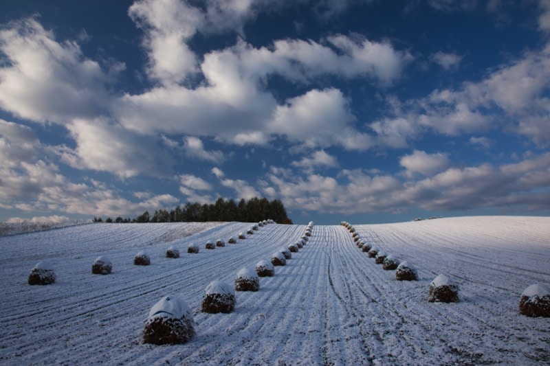 撮影：中西敏貴