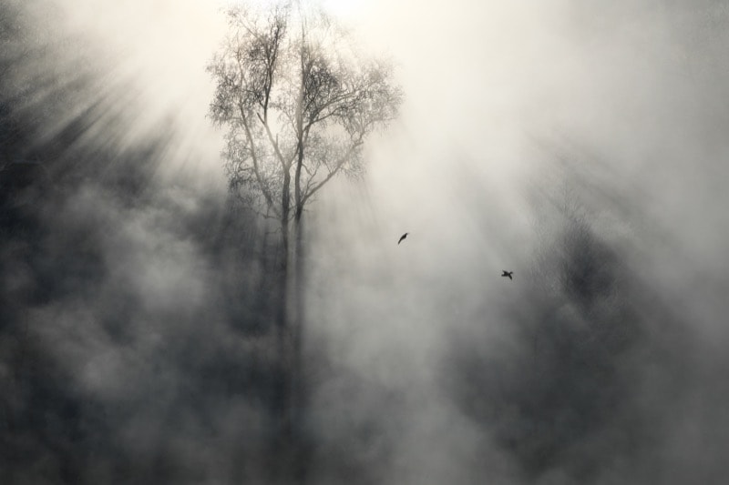 撮影：中西敏貴