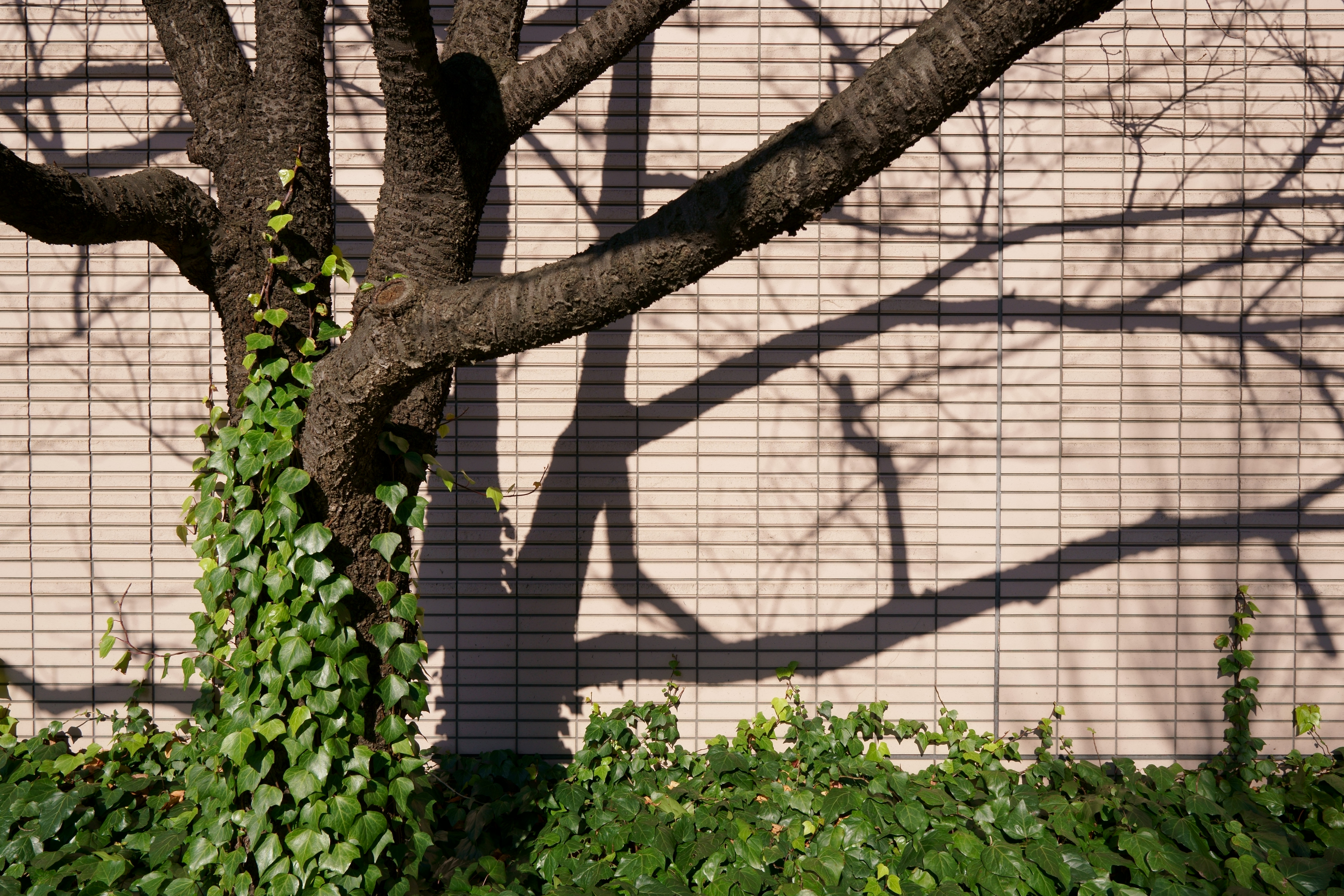 α6500 / SIGMA 16mm F1.4 DC DN / 1/400秒 / F6.3 / 0EV / ISO 100 / 絞り優先AE / 16mm