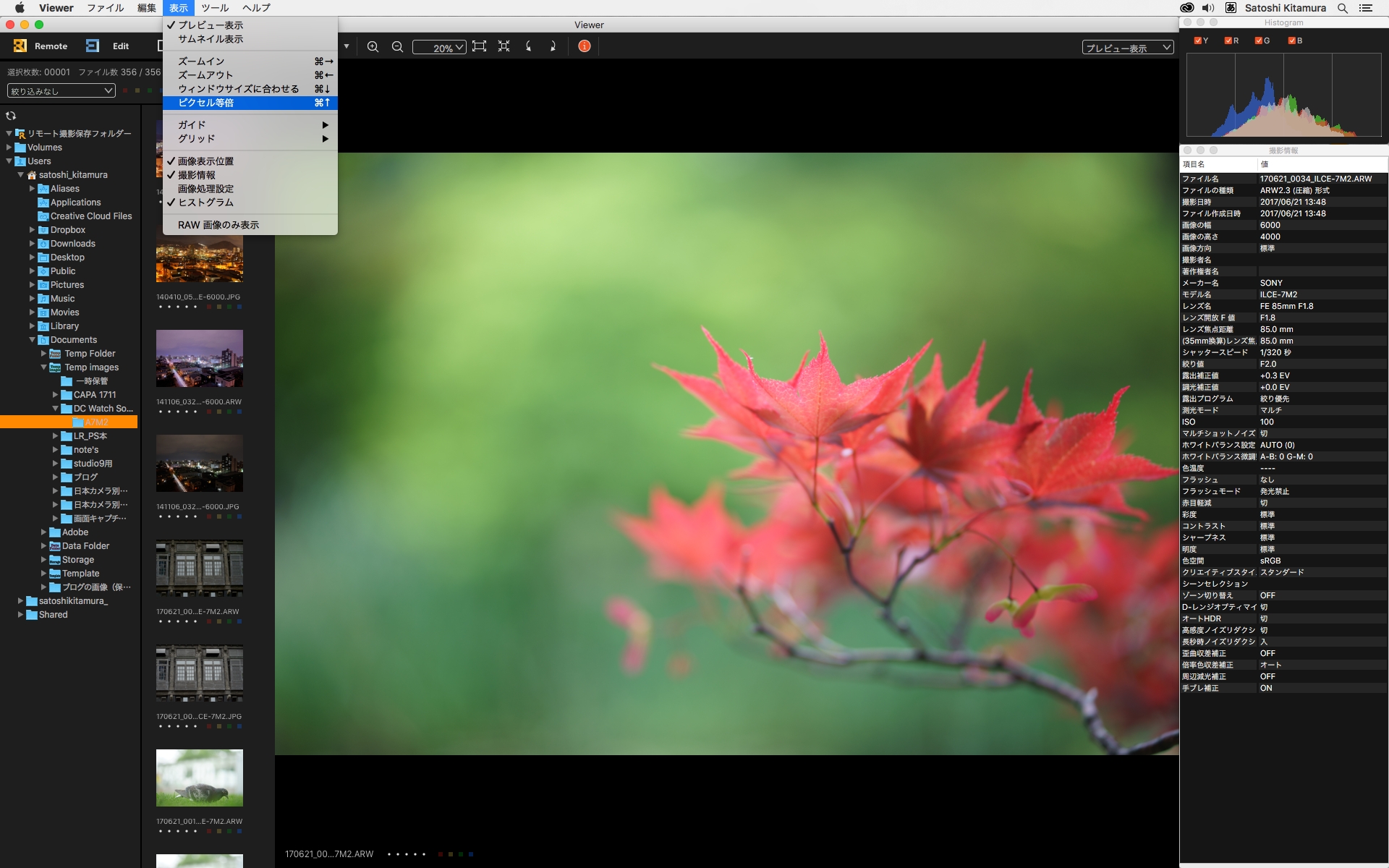 拡大するには「表示メニュー」から「ピクセル等倍」を選ぶか「control+↑」または「command+↑」を押すなどする。