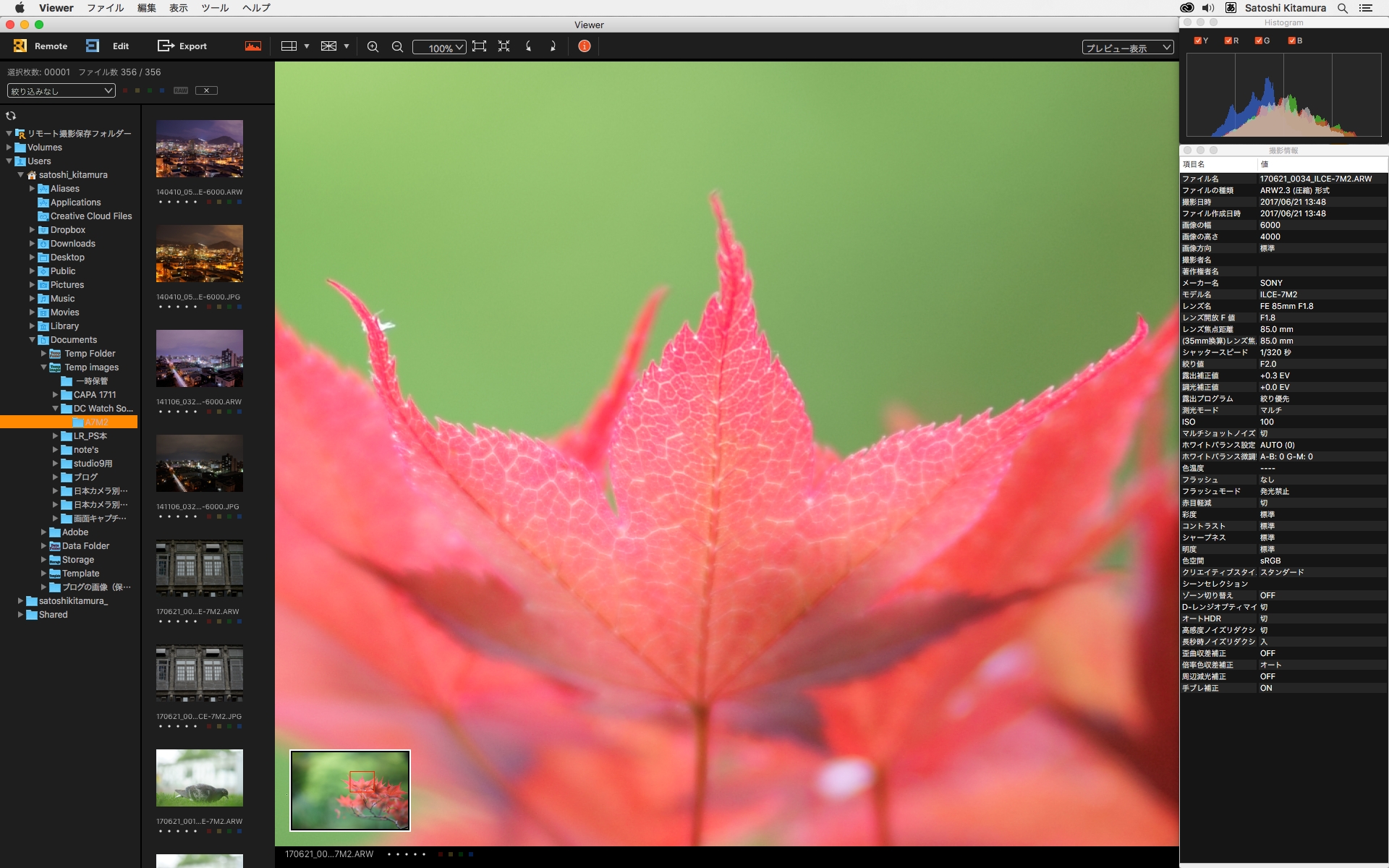初回は画面中央部から拡大する仕様なので、画面をドラッグするなどしてスクロールする必要がある。