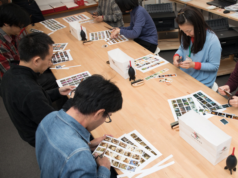 完成したインデックスをカード状に切り分ける。