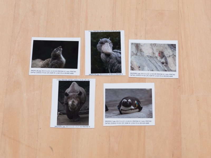 筆者が持ってきた写真のうち残った5枚。まさかこの組み合わせが残るとは自分でも予想もしていなかった。