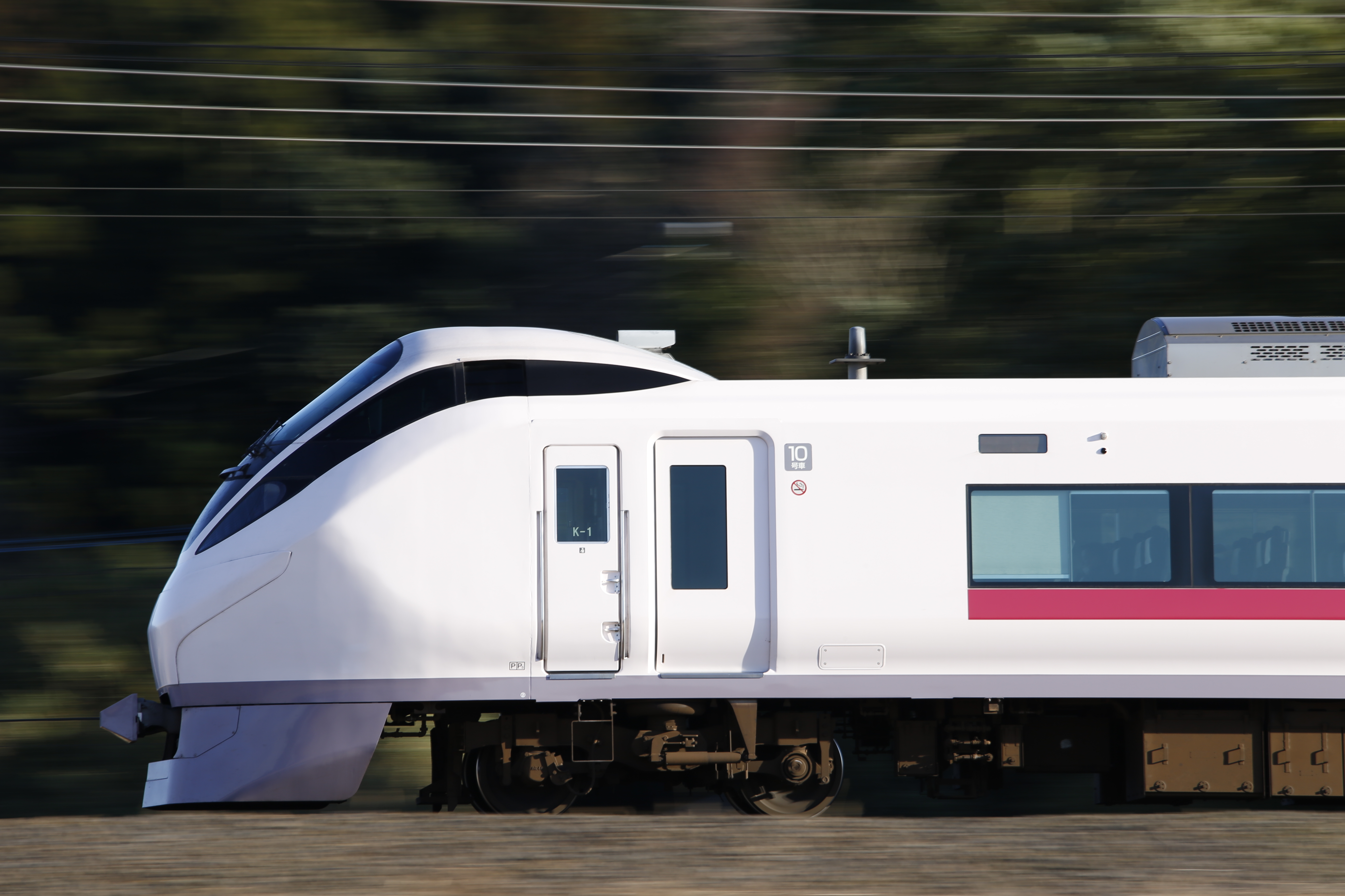 EOS-1D X / 100-400mm F/4.5-6.3 Di VC USD / 1/60秒 / F11 / ISO 100 / マニュアル露出 / 400mm