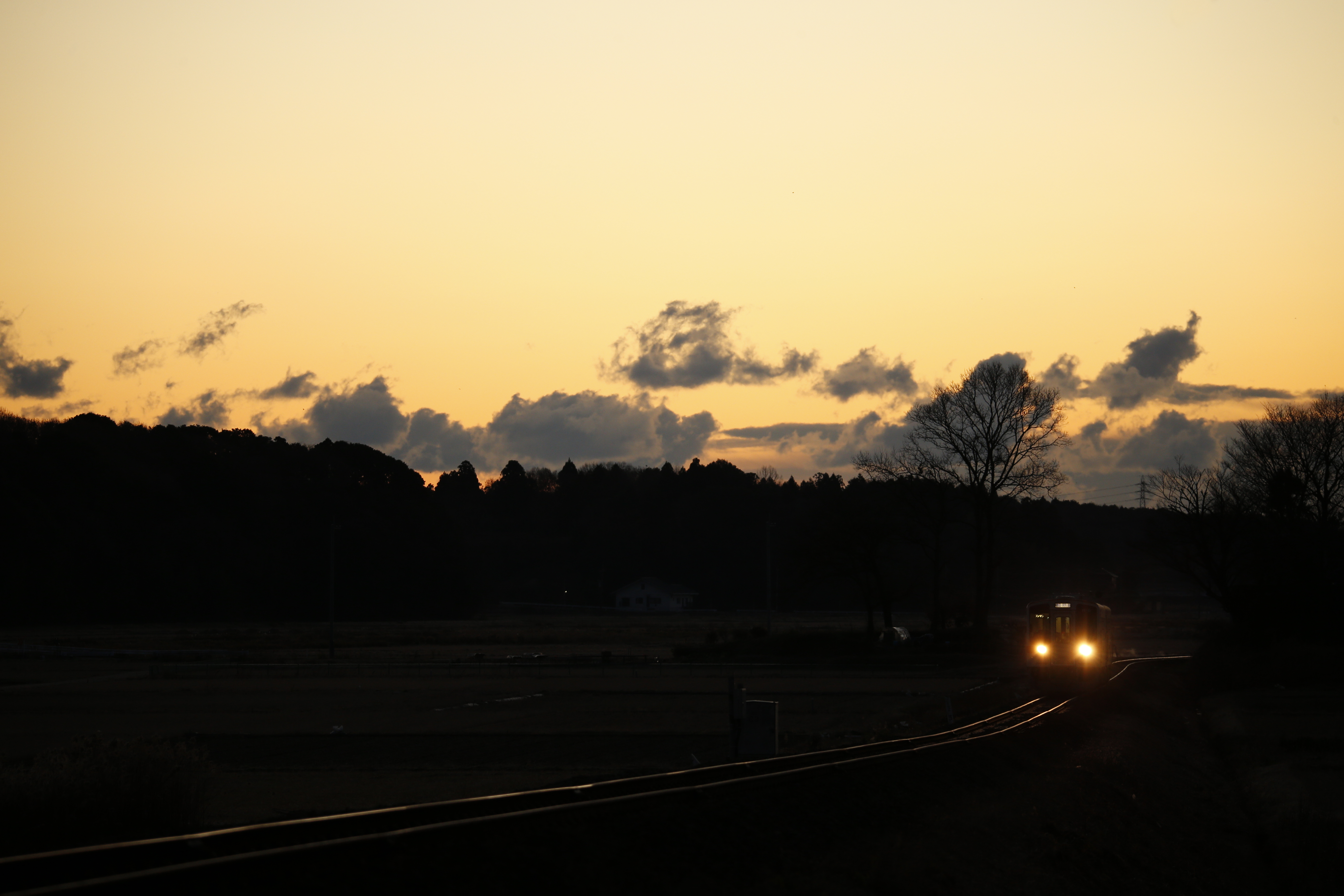 EOS-1D X / 100-400mm F/4.5-6.3 Di VC USD / 1/200秒 / F5.6 / ISO 800 / マニュアル露出 / 188mm