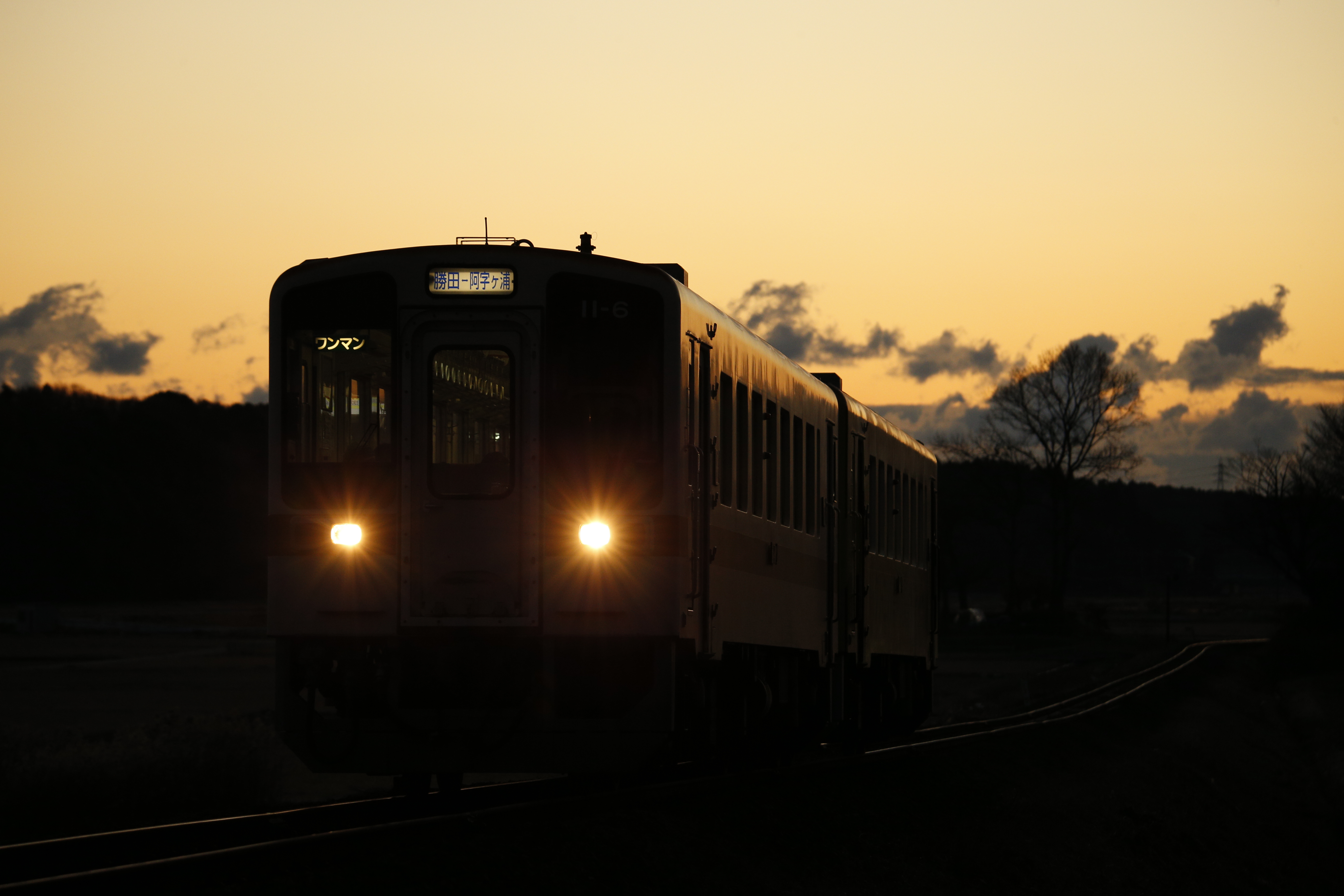 EOS-1D X / 100-400mm F/4.5-6.3 Di VC USD / 1/400秒 / F6.3 / ISO 1600 / マニュアル露出 / 188mm