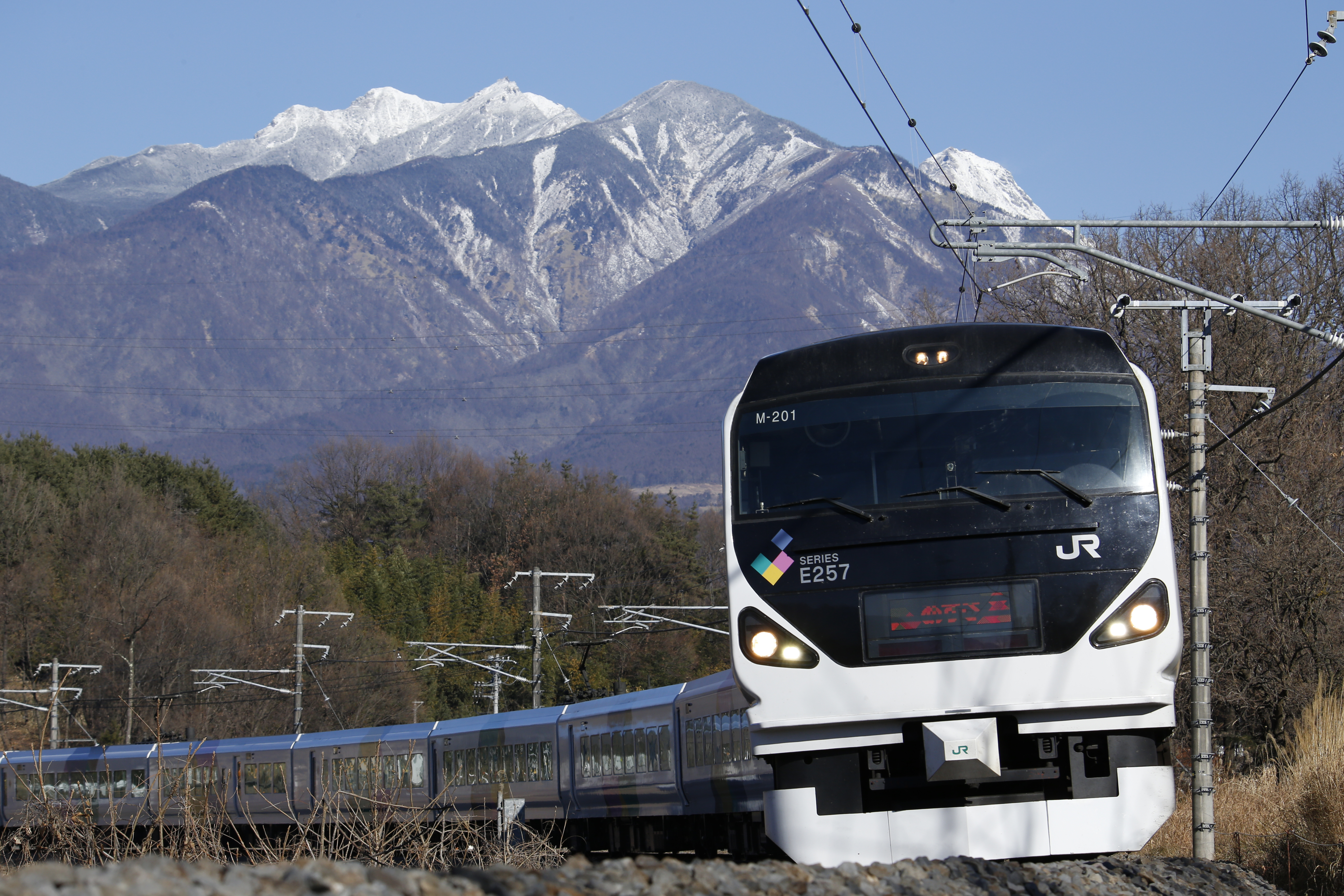 連写した中の1枚。EOS-1D X / 100-400mm F/4.5-6.3 Di VC USD / 1/800秒 / F11 / ISO 400 / マニュアル露出 / 161mm