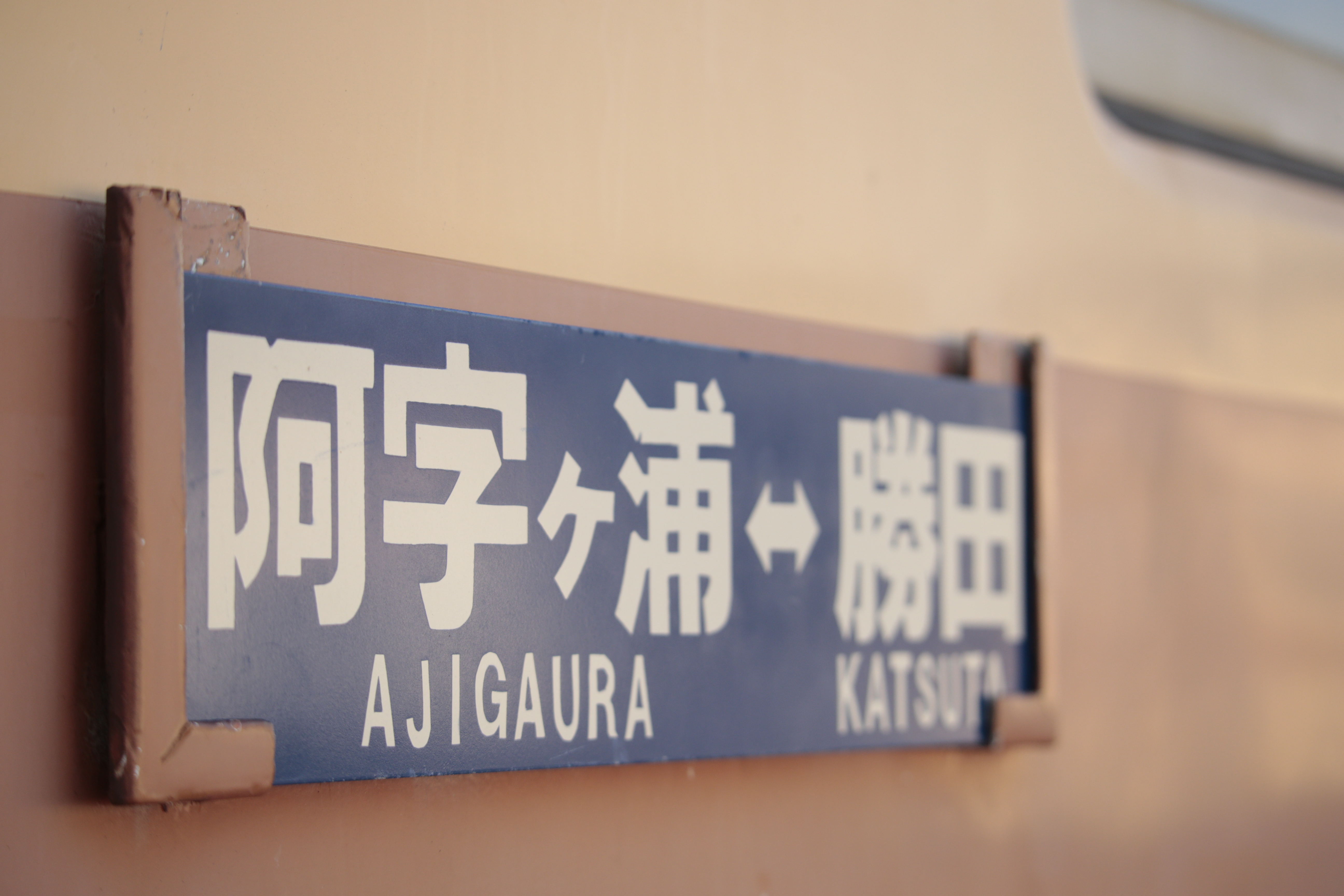 EOS-1D X / 100-400mm F/4.5-6.3 Di VC USD / 1/1,000秒 / F5.6 / ISO 800 / マニュアル露出 / 100mm