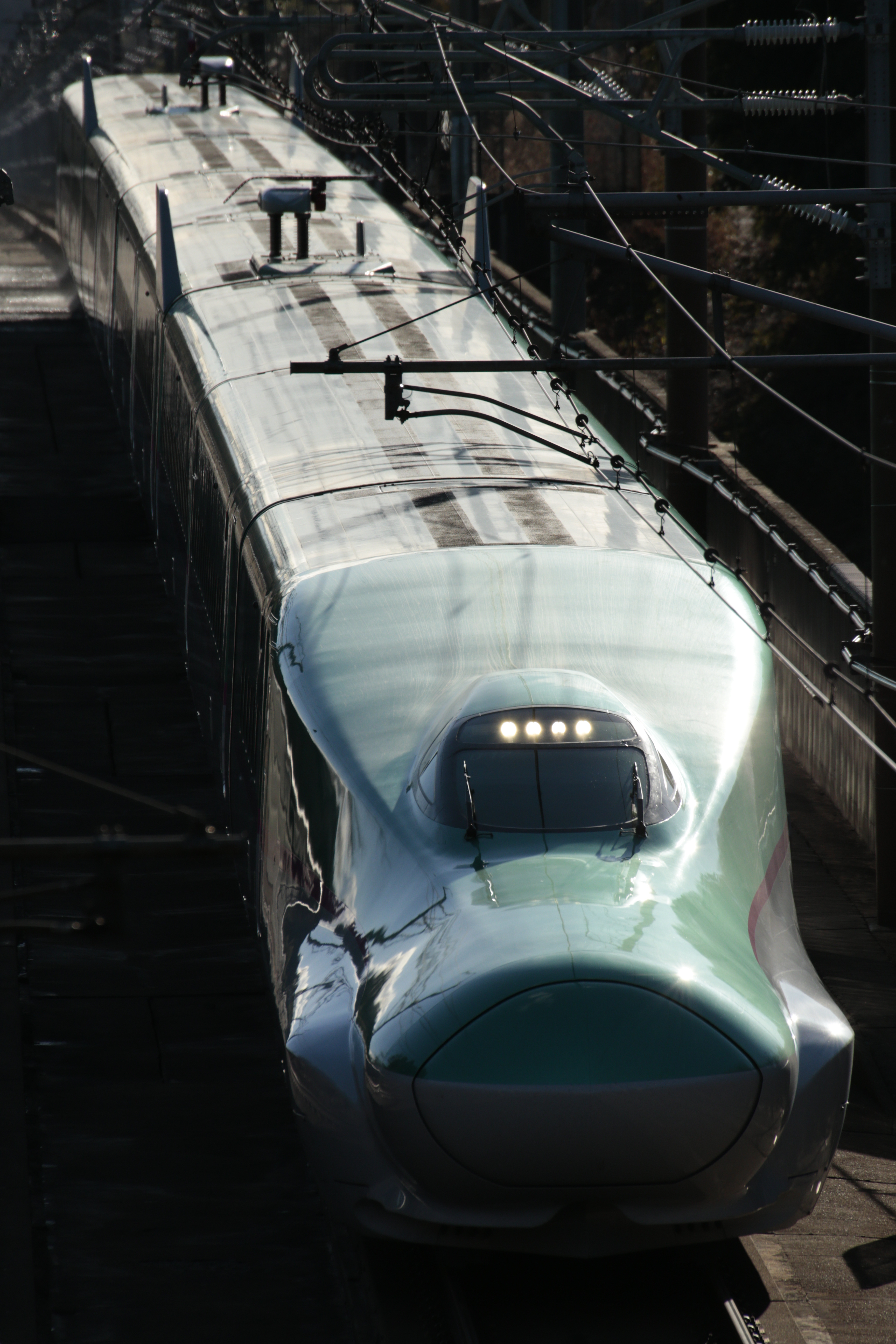 1.4×テレコンバーター使用。EOS-1D X / 100-400mm F/4.5-6.3 Di VC USD / 1/1,600秒 / F11 / ISO 800 / マニュアル露出 / 560mm