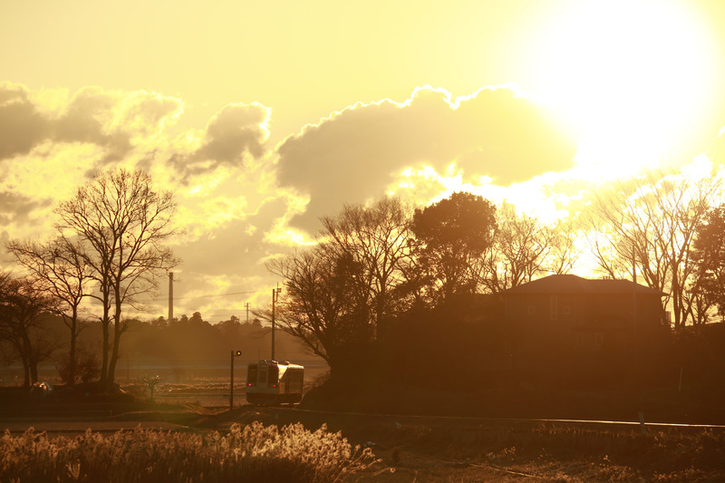 EOS-1D X / 100-400mm F/4.5-6.3 Di VC USD / 1/1,000秒 / F8 / ISO 400 / マニュアル露出 / 300mm