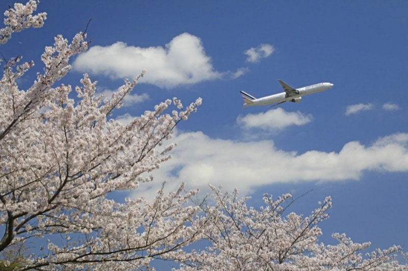 撮影：チャーリィ古庄