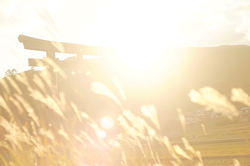 村井涼子さん『たそがれ　あこがれ　こいこがれ』