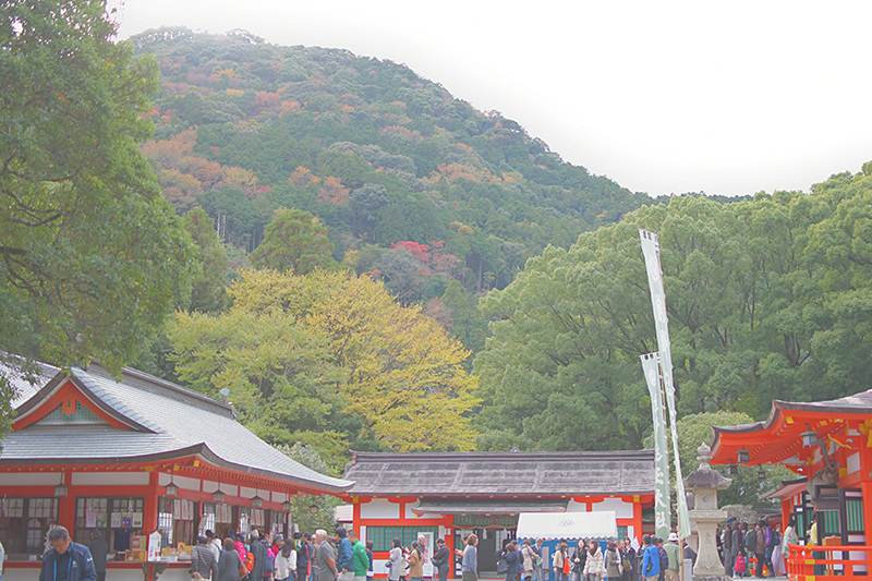 tabikotoriさん『one day 〜熊野速玉大社〜』