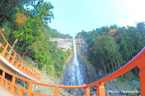 山本まりこ KUMANOKODO 山本まりこ 写真集 KUMANOKODO 熊野古道 熊野
