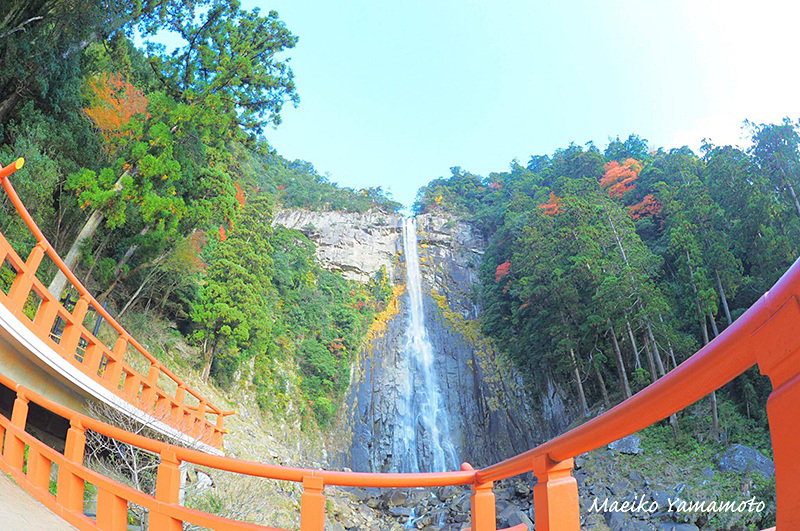 撮影：山本まりこ