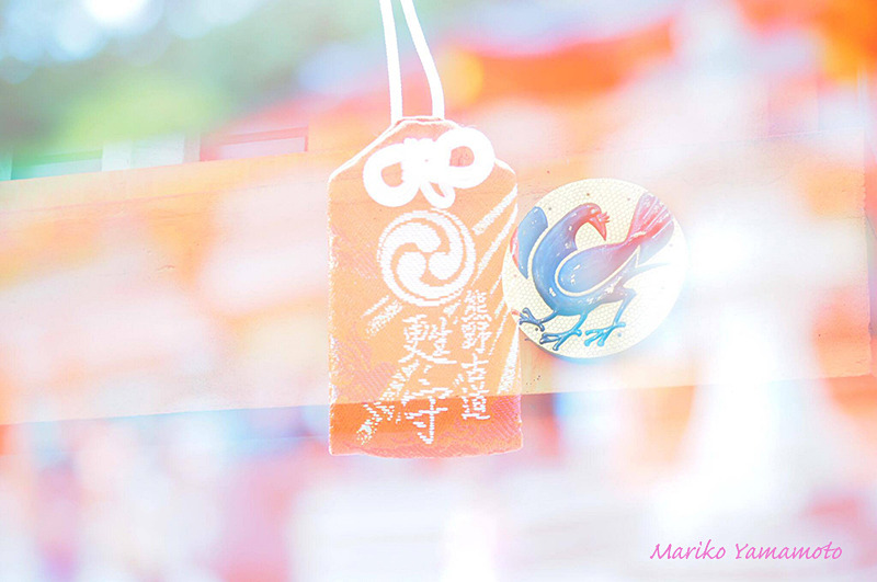 撮影：山本まりこ