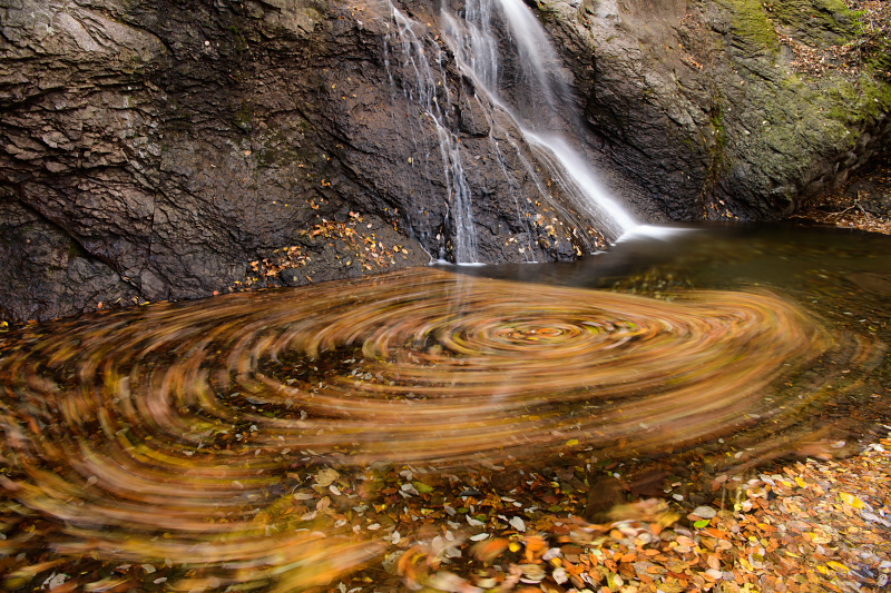 晩秋近くで出会える落ち葉の回転。「ぐるぐる」のほうがなじみ深いだろうか。わずかなブレをも抑えるため、電子先幕シャッターを使用している。D850は高画素化はもちろん、それを支援する数々の機能が搭載されていることもポイントだ。D850 / AF-S NIKKOR 24-70mm f/2.8E ED VR / 30秒 / F8 / 0EV / ISO32 / 絞り優先AE / 24mm
