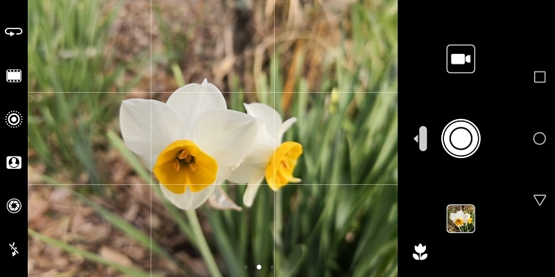 同様に、花にカメラを向けると被写体が花と認識され、最適な設定で撮影できる。