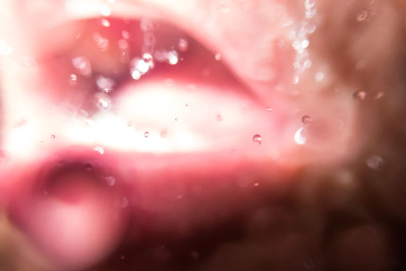 顔にシャワーをかけながら、フラッシュを発光させて、自分の口を撮りました。一見「なんだこれは」という雰囲気に仕上がり気に入っています。OLYMPUS Tough TG-5 / 1/30秒 / F6.3 / 0EV / ISO1000 / プログラムAE / 5.5mm