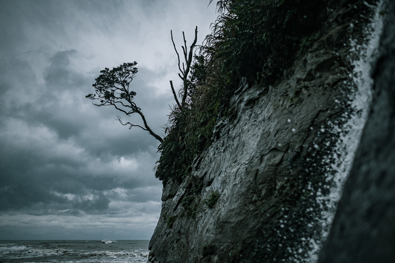 激しく流れる水の向こうに崖から飛び出した木の枝がなんとも力強くて好きだ。28mmレンズを絞り開放近くで使い前ボケを生かすと、しっかりと距離が表現される。ボケの中にあるディテールは現実にあった風景を気持ちの通りに記録した。D850 / AF-S NIKKOR 28mm f/1.8G / 1/3,200秒 / F2.2 / -0.7EV / ISO100 / 絞り優先AE / 28mm