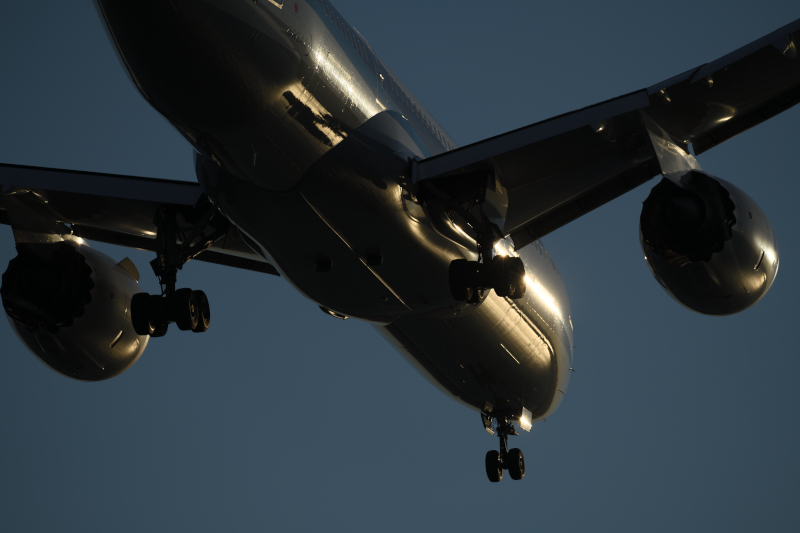 これも今年、手に入れたタムロン100-400mmズームを装着してのカット。頭上通過をフォローするにはこれくらいの軽量レンズが重宝する。D850の高精細がしっかり反映できる出来映えで、財布にやさしい設備投資だった。D850 / 100-400mm F/4.5-6.3 Di VC USD / 1/1,250秒 / F8 / -2EV / ISO64 / シャッター優先AE / 400mm